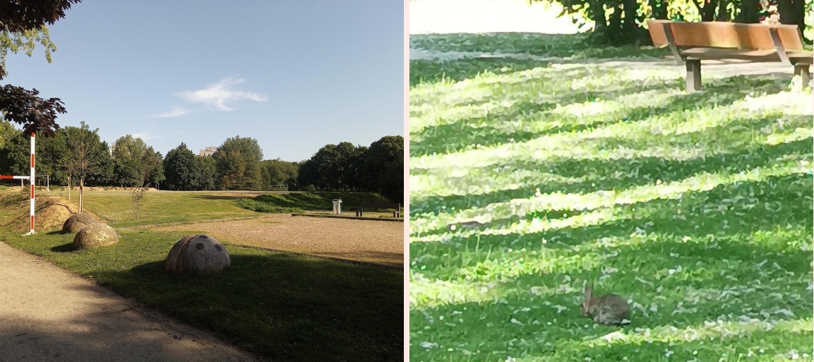 Espace Larris Maradas - Photo 1