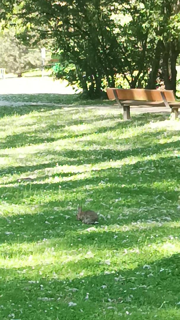 Espace Larris Maradas - Photo 3